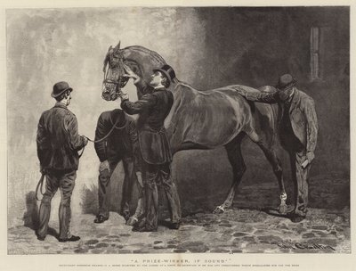 A Prize-Winner, if Sound by John Charlton
